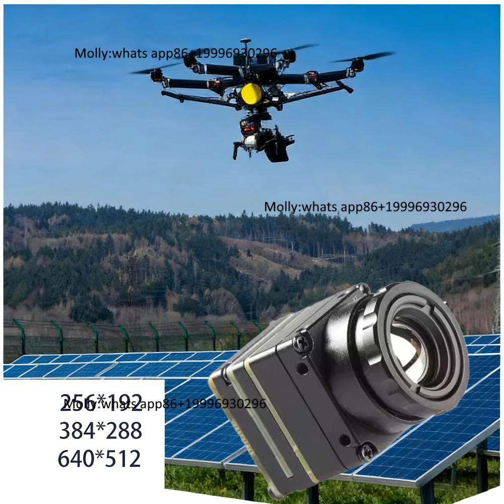 Modul Kamera Termal Mini FPV d - Thermal Camera Type C 384X288 ulasan dan harga